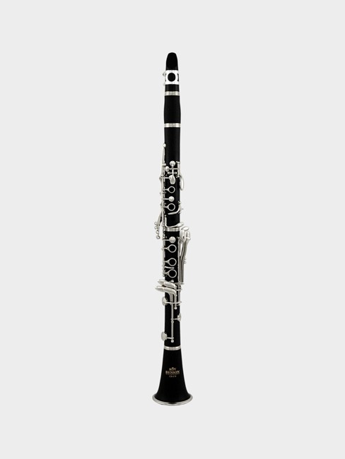 Roy Benson Bb clarinet CB-318 Student pro series